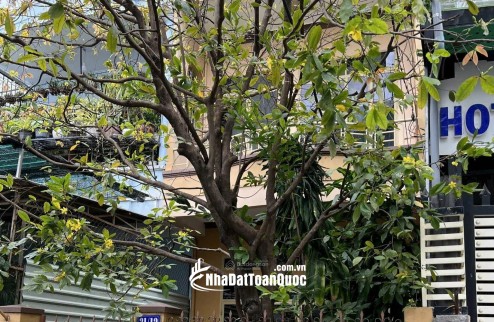 Bán nhà 2 tầng hẻm Biệt Thự Nha Trang, 12 tỷ sở hữu hẻm khu phố Tây Nha Trang